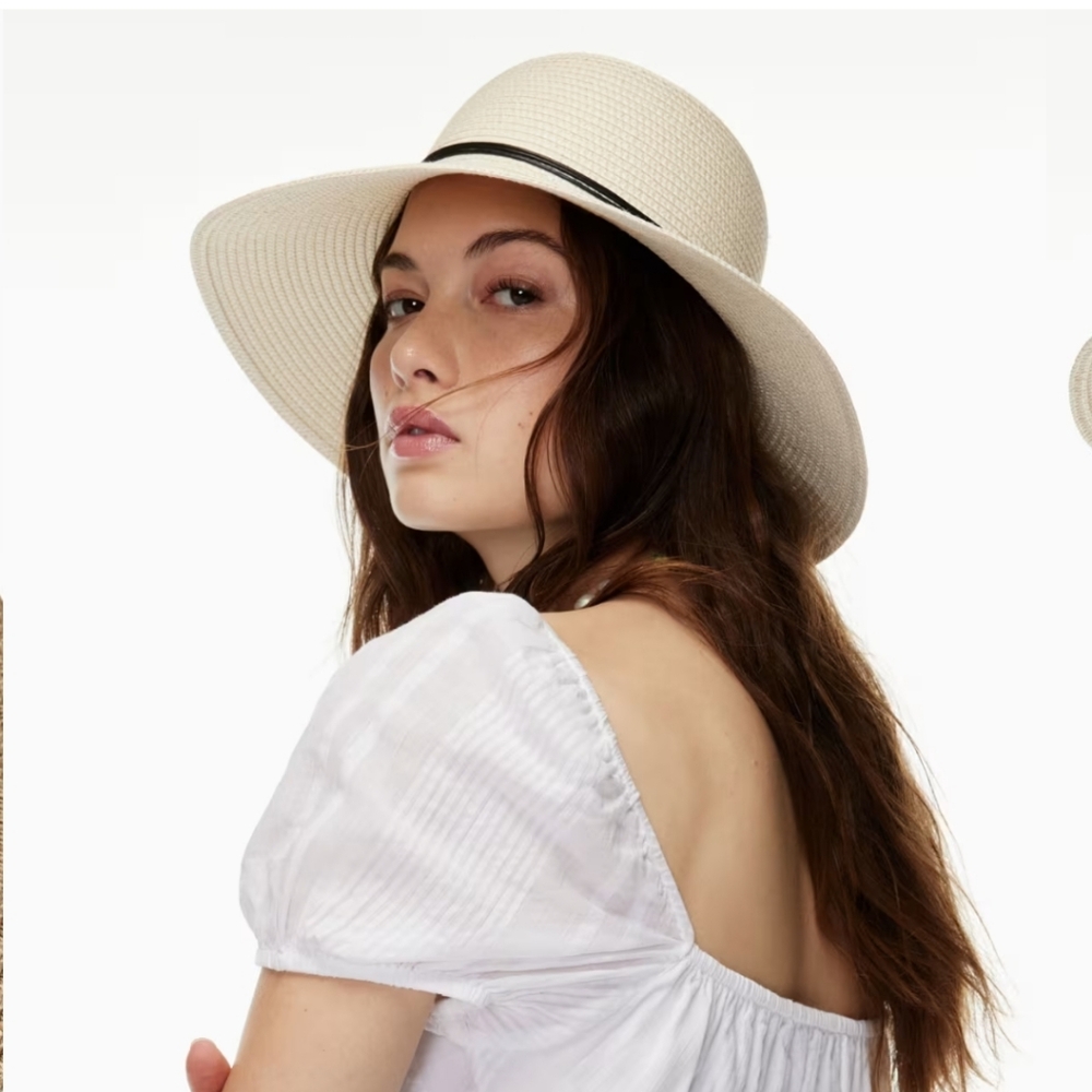 Aritzia Hat